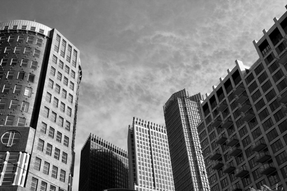 New Architecture (182263475)