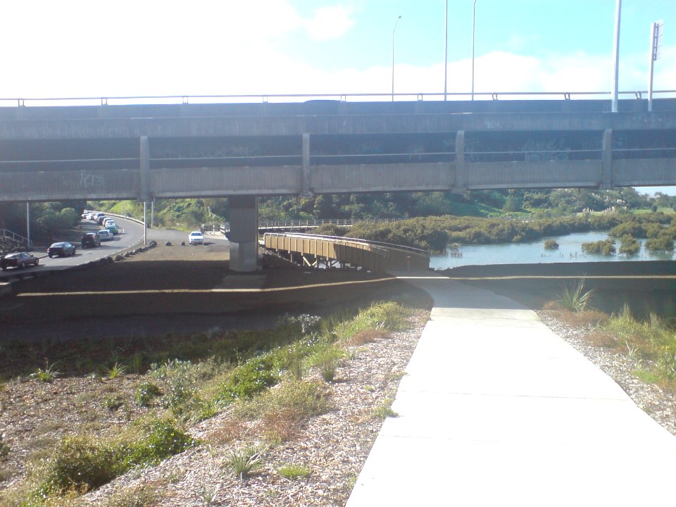 New Boardwalk Sections On Waikaraka Cycleway I