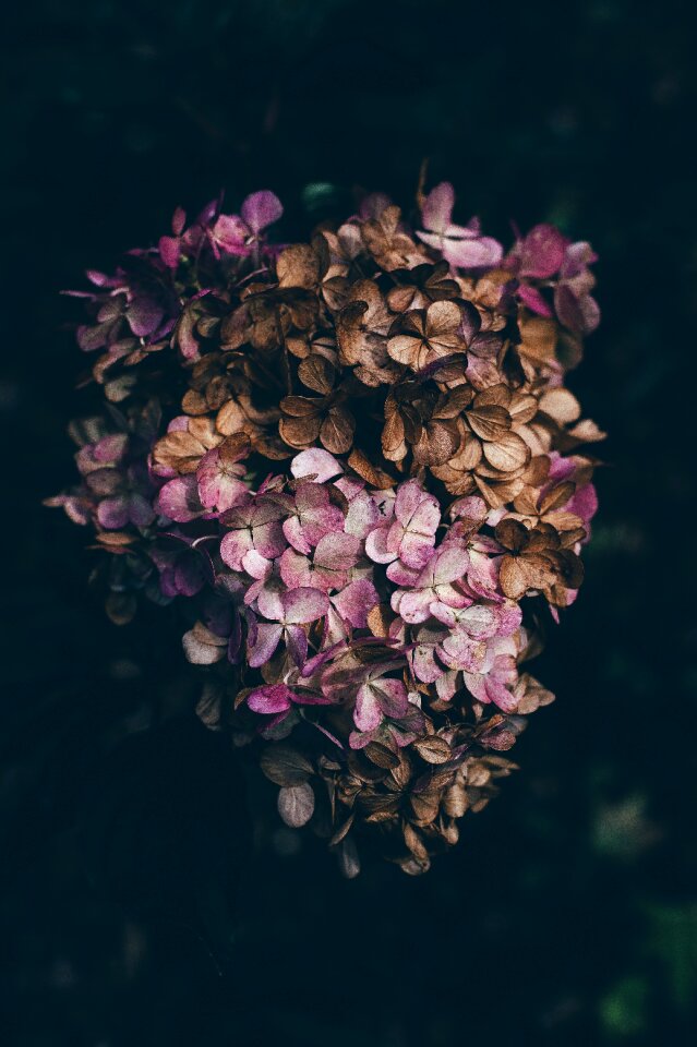 Blossom bouquet bundle