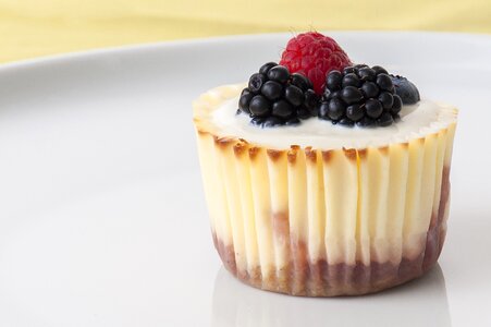 Cup cake food nature