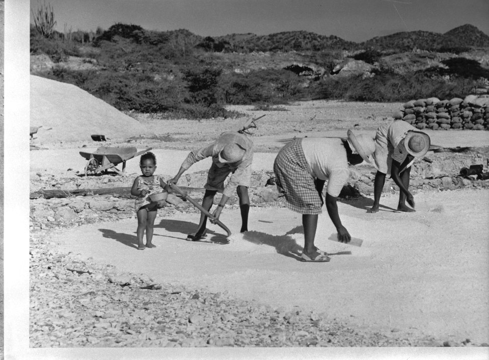 Nederlands West-Indië. Bonaire. Zoutwinning, Bestanddeelnr 935-1546