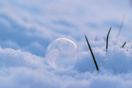 Snow cold frozen bubble photo