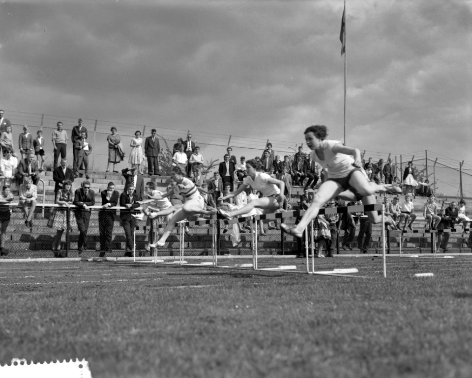 Nederlandse atletiekkampioenschappen in Eindhoven, horden lopen (dames), Bestanddeelnr 911-4504