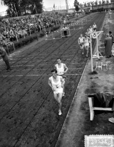 Nederlandse Atletiekkampioenschappen Nenytobaan Rotterdam, Bestanddeelnr 907-9277
