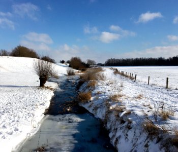 Nederlands rivierlandschap in de Bemmelse Waard