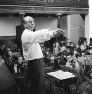 Nederlands Studenten Orkest in Bergen, Noord-Holland, Bestanddeelnr 918-6346