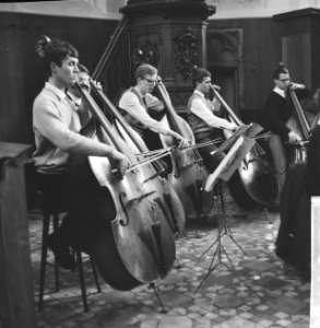 Nederlands Studenten Orkest in Bergen, Noord-Holland, Bestanddeelnr 918-6340