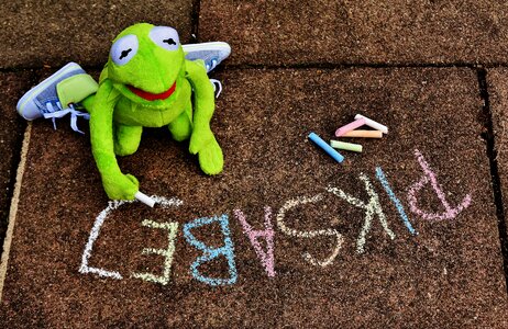 Frog chalk paint