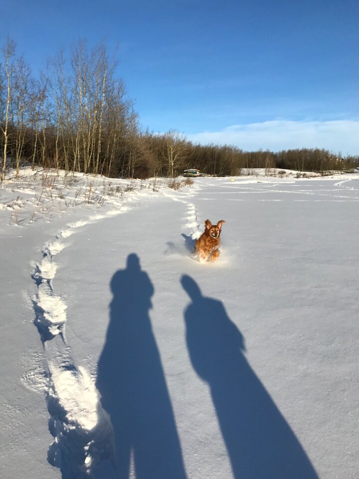 Cold outdoor fun photo