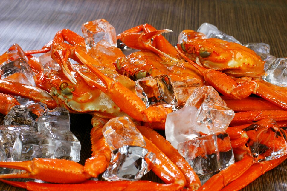 Crab food ice photo