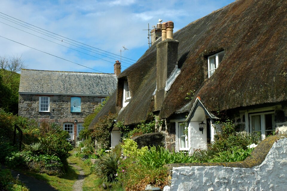 Cottage garden summer