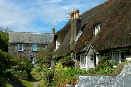 Cottage garden summer photo