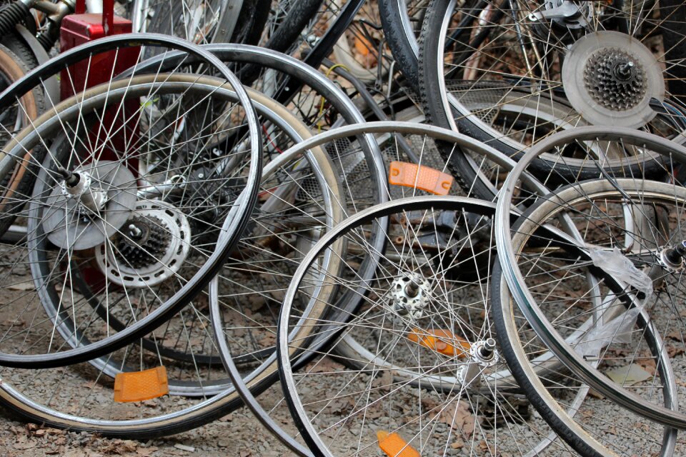 Wheels wheel mature