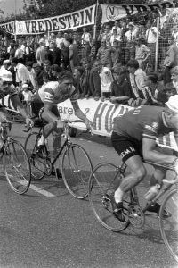 Nederlands Kampioenschappen Wielrennen op de weg voor profs te Beek. Het peloton, Bestanddeelnr 920-5543