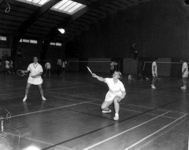 Nederlandse Badmintonkampioenschappen, kampioene Agnes Geene (r), Bestanddeelnr 919-0346