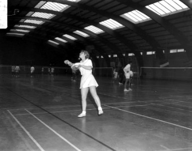 Nederlandse Badmintonkampioenschappen, Bestanddeelnr 919-0359