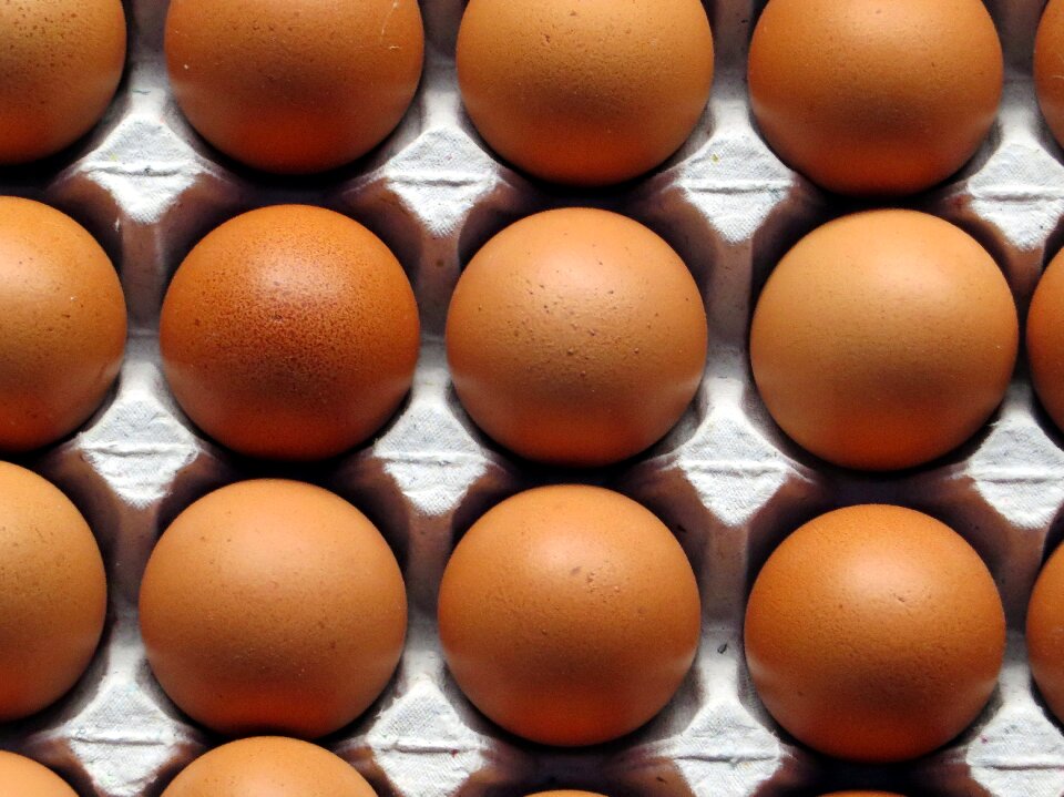 Eat power colorful eggs