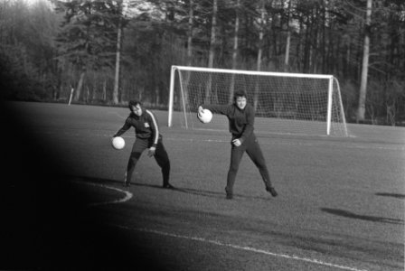 Nederlands elftal traint voor wedstrijd tegen Luxemburg, in Zeist, Bestanddeelnr 924-2923