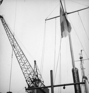 Nederlandse vlag in top bij een kustvaarder in de haven van Londen, Bestanddeelnr 935-2796