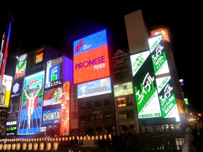 Neon signs in Dotonbori at night,16th August 2014 (3) photo