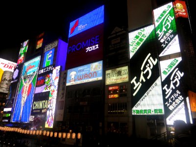Neon signs in Dotonbori at night,16th August 2014 (2) photo