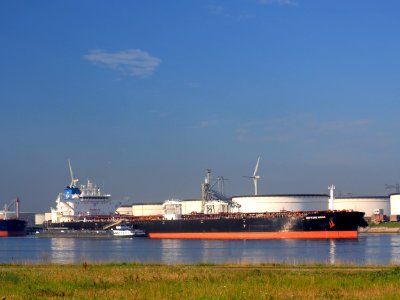 Neptune Moon (ship, 2019) IMO 9784013, Port of Rotterdam pic2