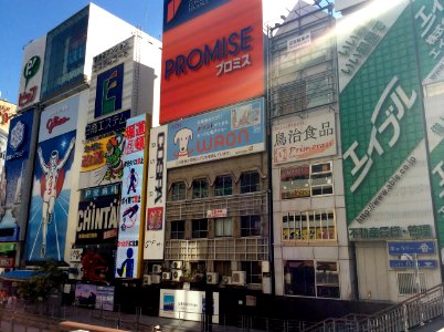 Neon signs in Dotombori, 24th October 2014