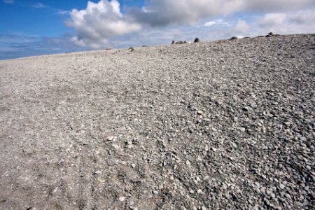 Neptuni åkrar 11