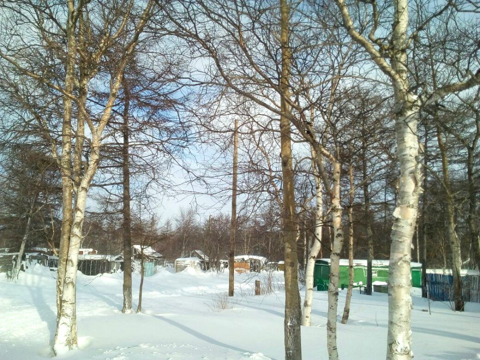Nekrasovka. Sakhalin Oblast. 04