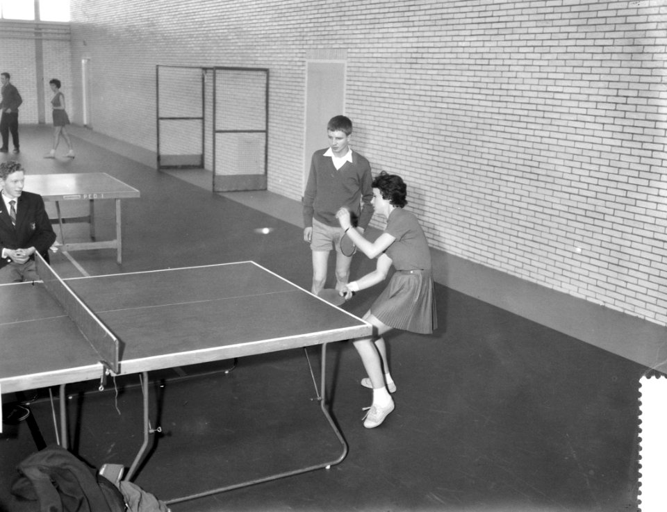 Nederlandse tafeltenniskampioenschappen in het Studenten sportcentrum te Delft, , Bestanddeelnr 910-1876