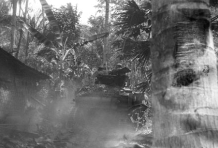 Nederlandse tank door het oerwoud, Bestanddeelnr 44-1-5
