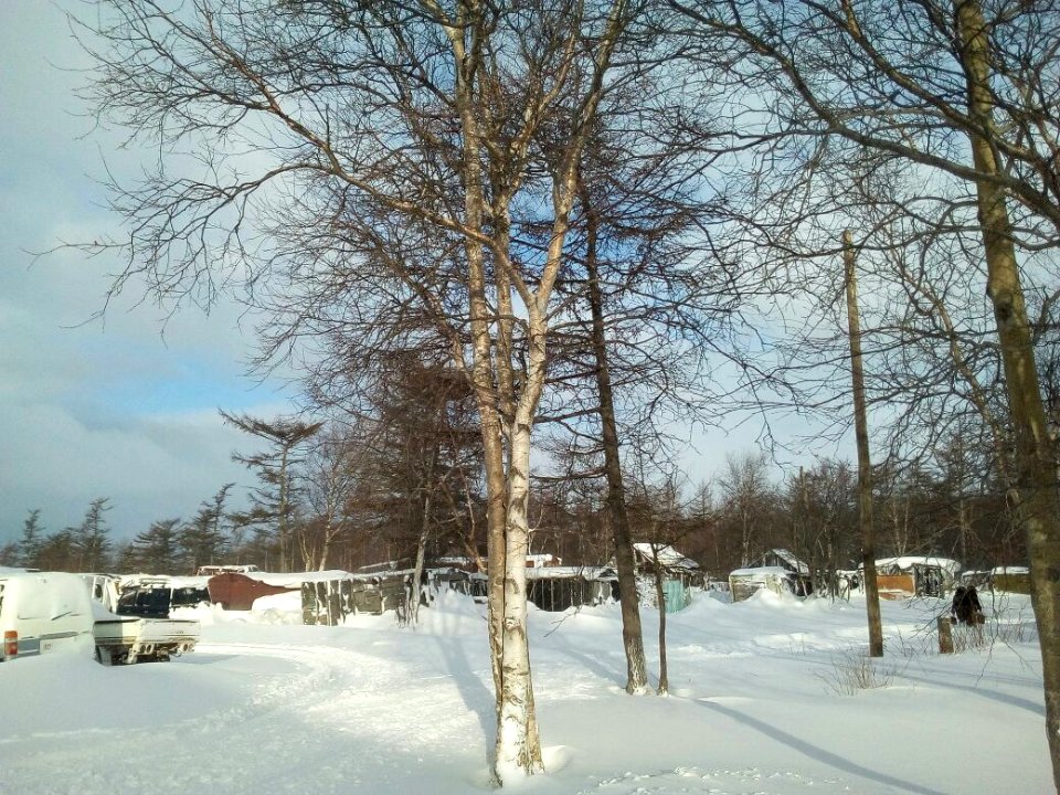 Nekrasovka. Sakhalin Oblast. 03