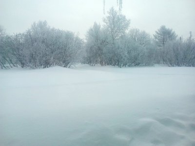 Nekrasovka. Sakhalin Oblast. A winterview of the school garden