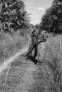 Nederlandse officier met plaatselijke bewoner in een bananenplantage, Bestanddeelnr 2388