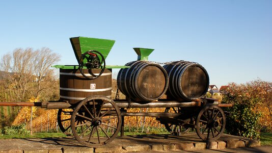 Vineyards palatinate southern wine route