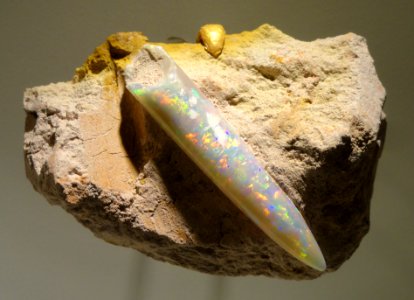 Neohibolites sp., opalized belemnite, Late Early Cretaceous, Coober Pedy Formation, Coober Pedy, South Australia - Houston Museum of Natural Science - DSC01937