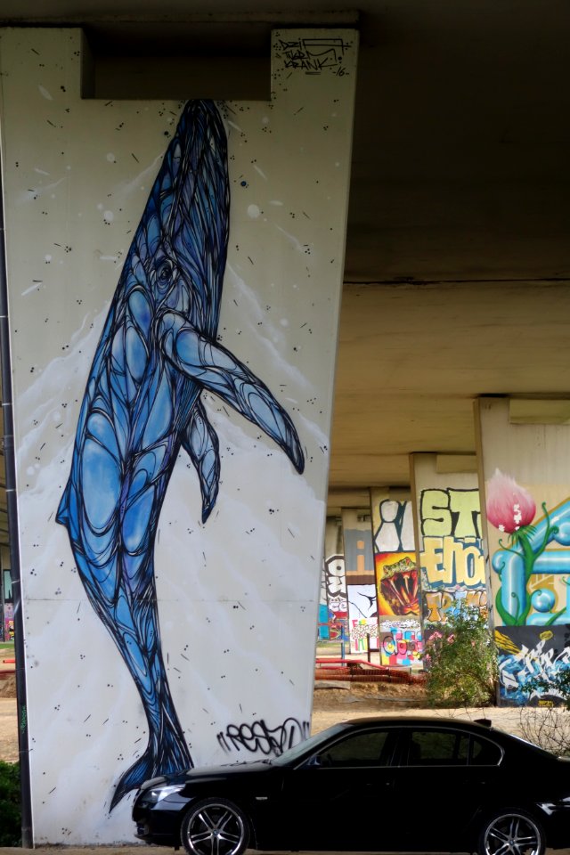 NeerpedeHall54
