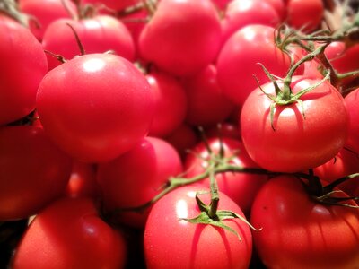 Agriculture fresh market