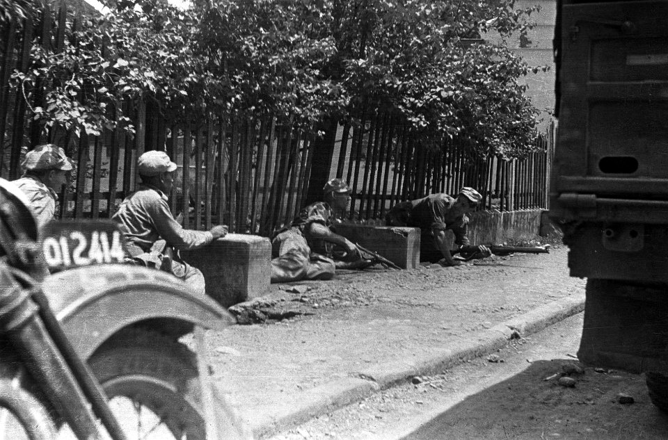 Nederlandse militairen liggen naast de kant van de weg in stellin, Bestanddeelnr 5731