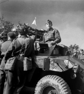 Nederlandse manoeuvres oefening Counter Thrust. Pantserwagen, Bestanddeelnr 904-7734