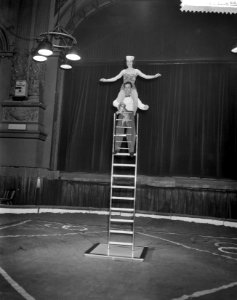 Nieuw programma van Circus Strassburger in Carré La Palma met hun vrijstaande l, Bestanddeelnr 910-1395