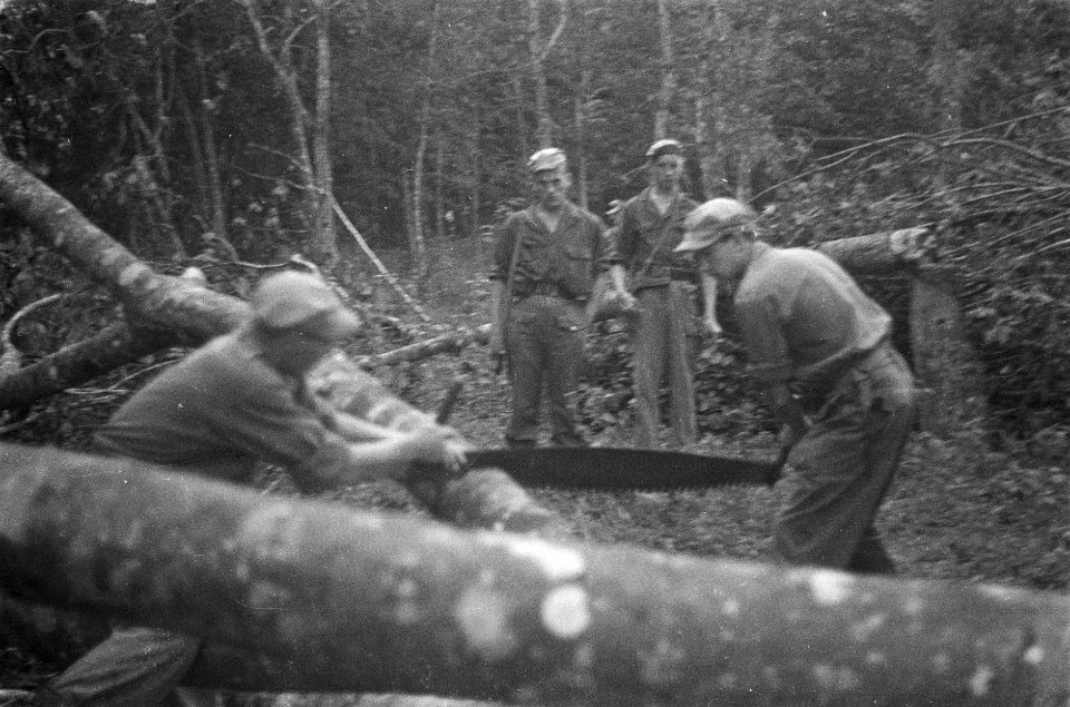 Nederlandse militairen bezig met het opruimen van omgehakte bomen, Bestanddeelnr 456-4-3