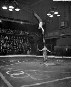 Nieuw programma van Circus Strassburger in Carré La Palma met hun vrijstaande l, Bestanddeelnr 910-1394