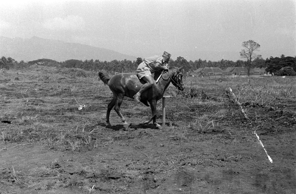 Nederlandse militair in korte broek te paard, Bestanddeelnr 6882