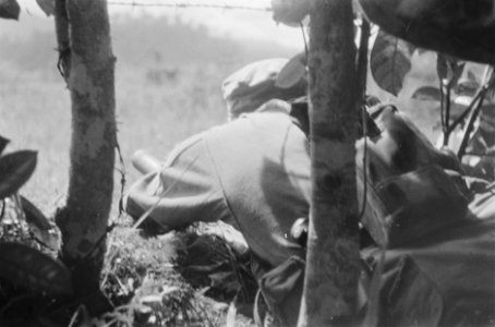 Nederlandse militair ligt verdekt in het struikgewas en houdt een PIAT vast, Bestanddeelnr 463-6-3