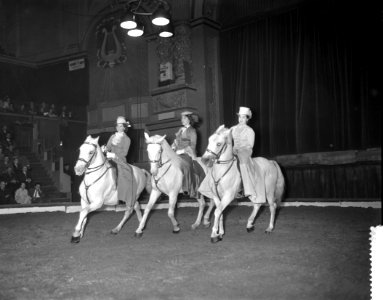 Nieuw programma van Circus Strassburger in Carré, Bestanddeelnr 910-1390 photo