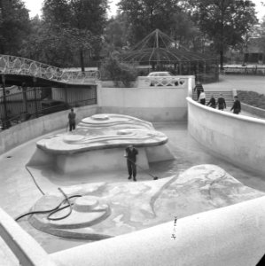 Nieuw robbenbassin in Zoo te Blijdorp, Bestanddeelnr 917-8082