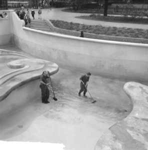Nieuw robbenbassin in Zoo te Blijdorp, Bestanddeelnr 917-8083
