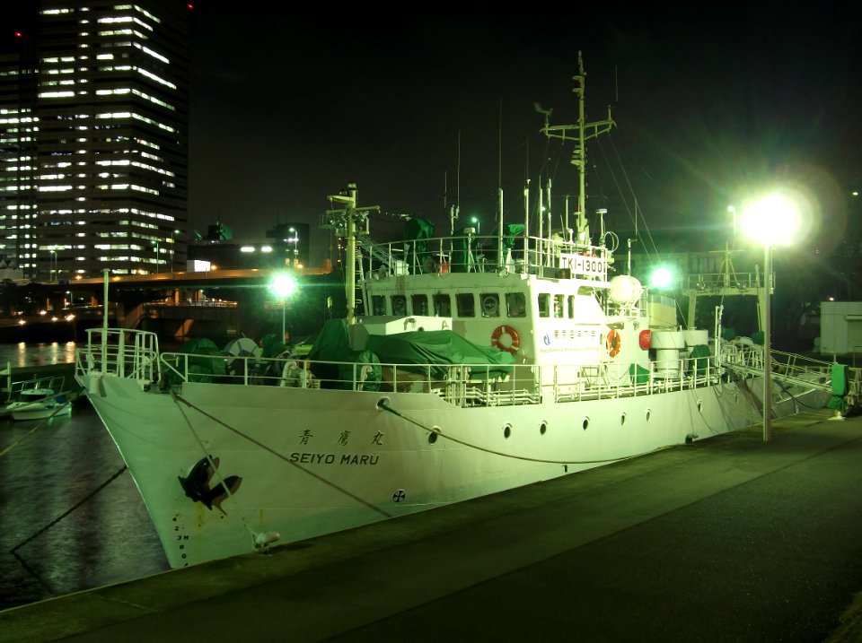 Night view of Seiyo-Maru the training vessel of Tokyo University of Marine Science and Technology