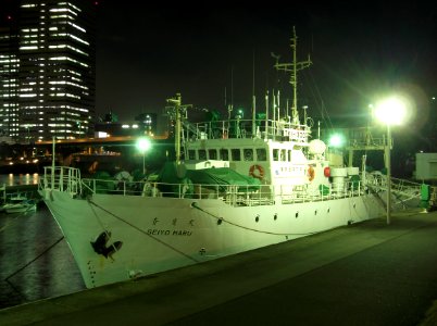 Night view of Seiyo-Maru the training vessel of Tokyo University of Marine Science and Technology